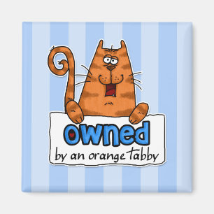 owned orange tabby magnet