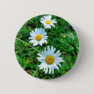 Ox-Eye Daisies Badge