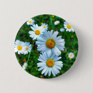 Ox-Eye Daisies Badge