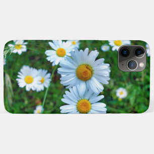 Ox-Eye Daisies iPhone 11 Pro Max Case