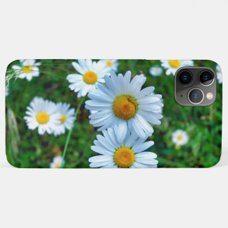 Ox-Eye Daisies iPhone 11 Pro Max Case