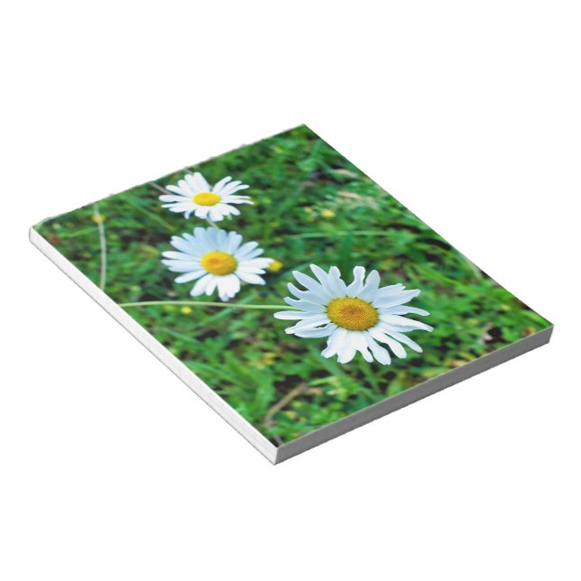 Ox-Eye Daisies Notepad (Angled)
