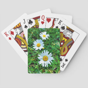 Ox-Eye Daisies Playing Cards