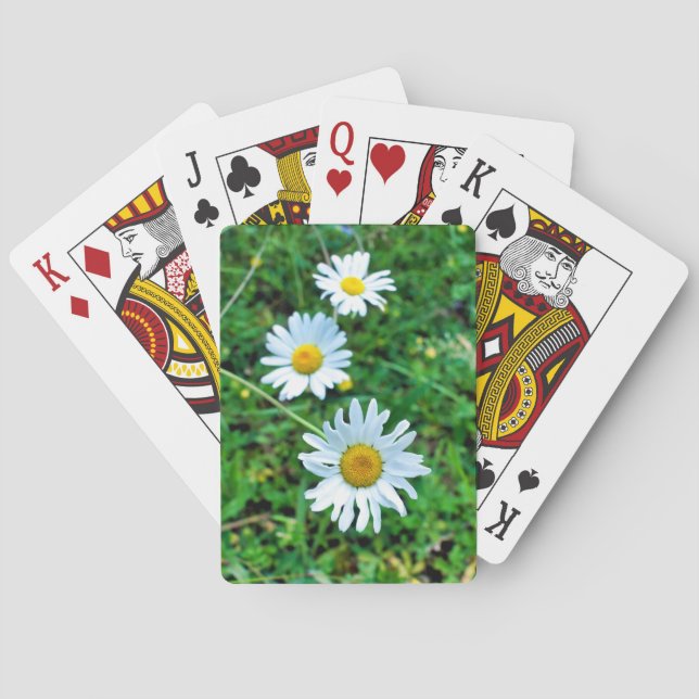 Ox-Eye Daisies Playing Cards (Back)