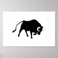 OX,moggy,cattle,cow,bullfight,corrida,horn