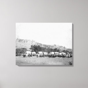 Ox Teams and Wagons in a Valley of the Black Canvas Print
