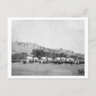 Ox Teams and Wagons in a Valley of the Black Postcard