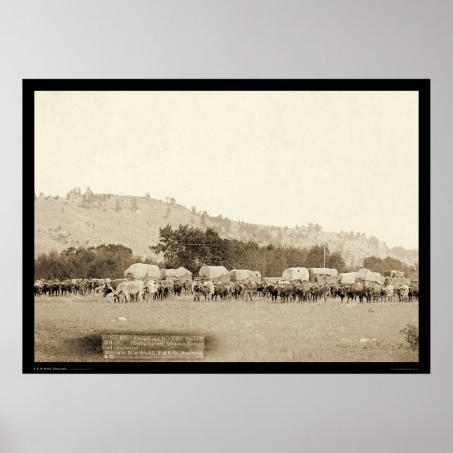 Ox Teams & Wagons Freighting Black Hills SD 1887 Poster (Front)