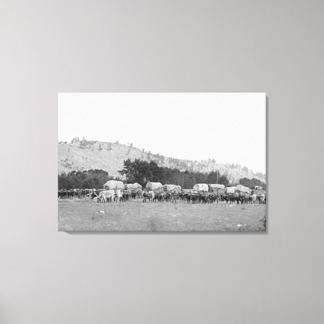 Ox Trains between Sturgis and Deadwood Photograp Canvas Print (Front)