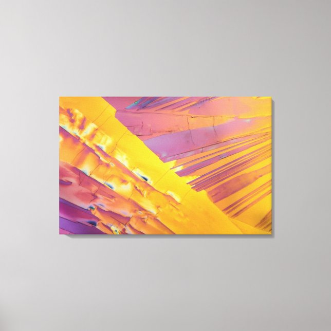 Oxalic Acid Crystals Canvas Print (Front)