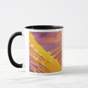 Oxalic Acid Crystals Mug