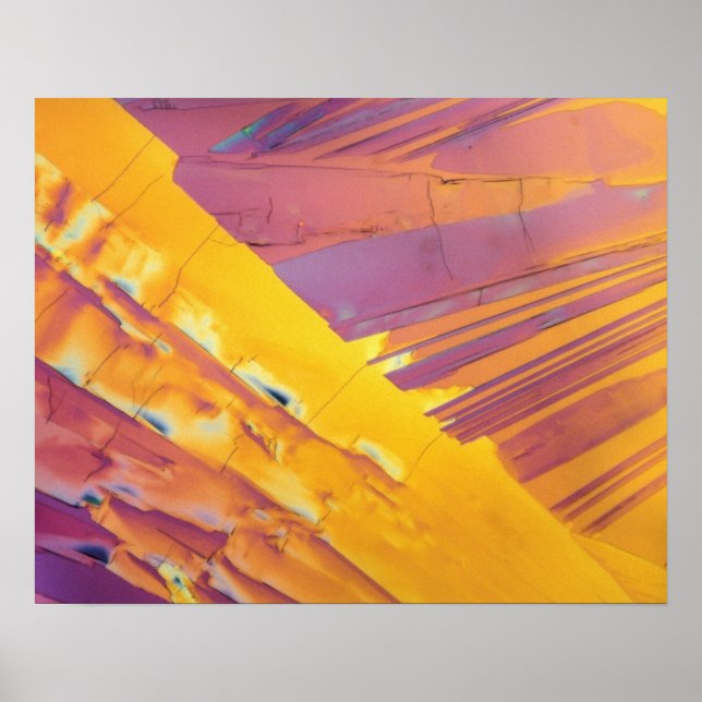 Oxalic Acid Crystals Poster (Front)