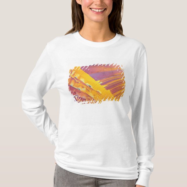 Oxalic Acid Crystals T-Shirt (Front)