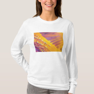 Oxalic Acid Crystals T-Shirt