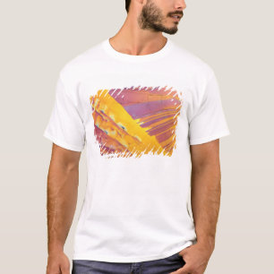 Oxalic Acid Crystals T-Shirt