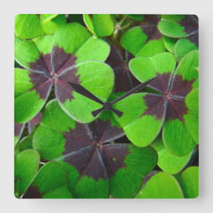 Oxalis Leaves - Red and Green Square Wall Clock
