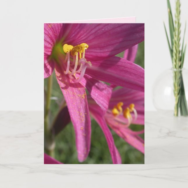 Oxblood Lily Card (Front)