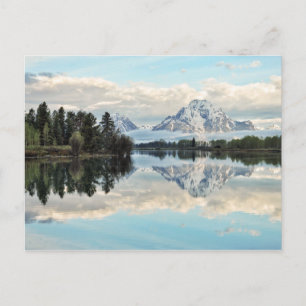 Oxbow Bend Reflection Postcard