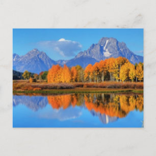 Oxbow Bend Sunrise Postcard