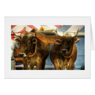 Oxen Team at Sandwich Fair: Card