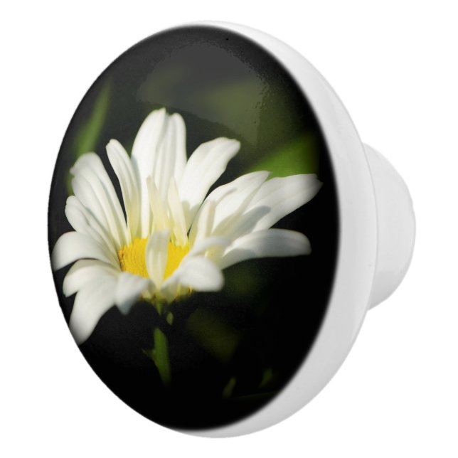 Oxeye Daisy Ceramic Pull (Right)