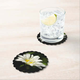 Oxeye Daisy Coasters Scalloped