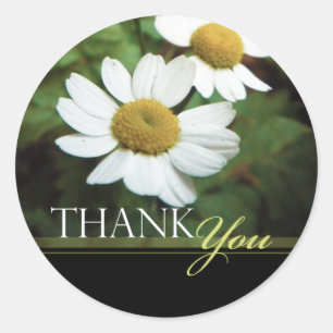 Oxeye Daisy Floral Thank You Envelope Seals