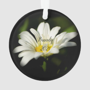 Oxeye Daisy Round Acrylic Ornament