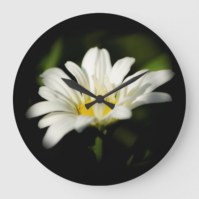 Oxeye Daisy Round Clock (Front)