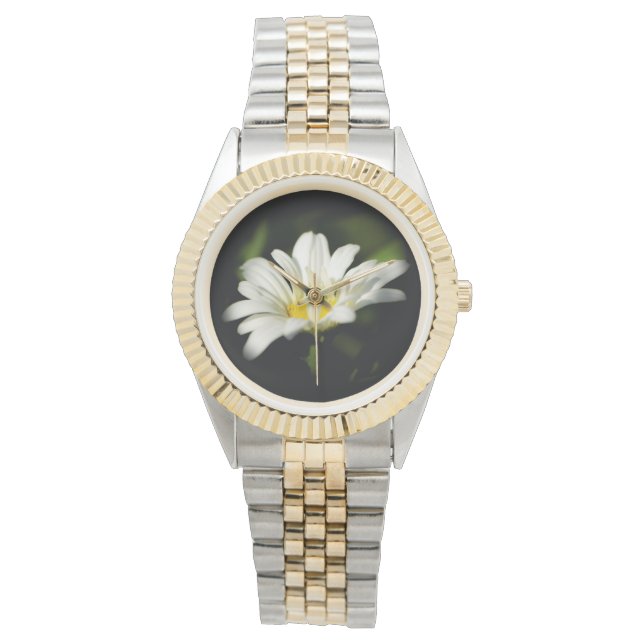 Oxeye Daisy Round Watch (Front)