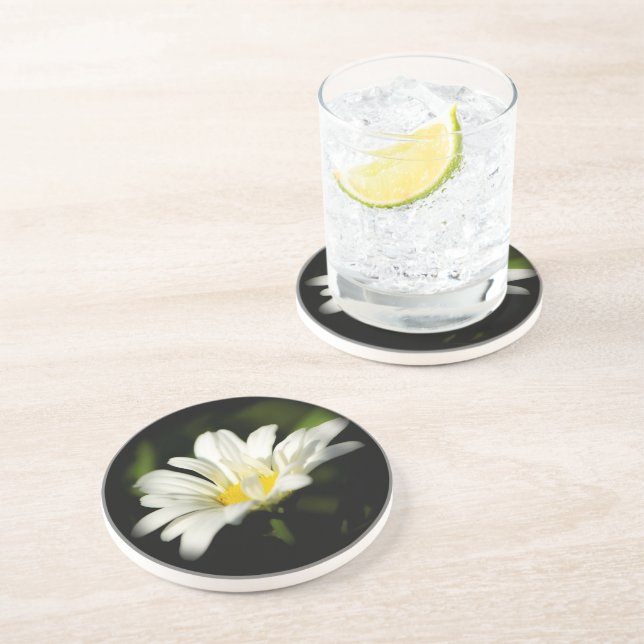 Oxeye Daisy Sandstone Coaster (Side)