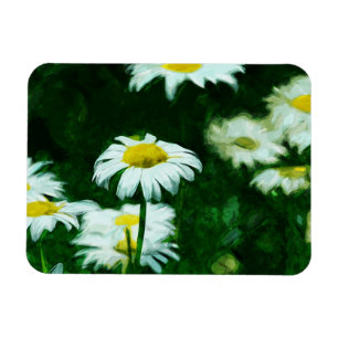Oxeye White Daisies Abstract Impressionism Magnet