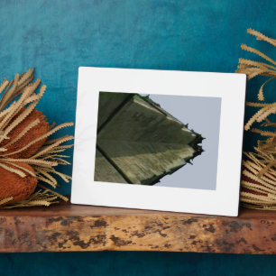 Oxford 1986 snapshot 241a The MUSEUM Zazzle Gifts, Plaque