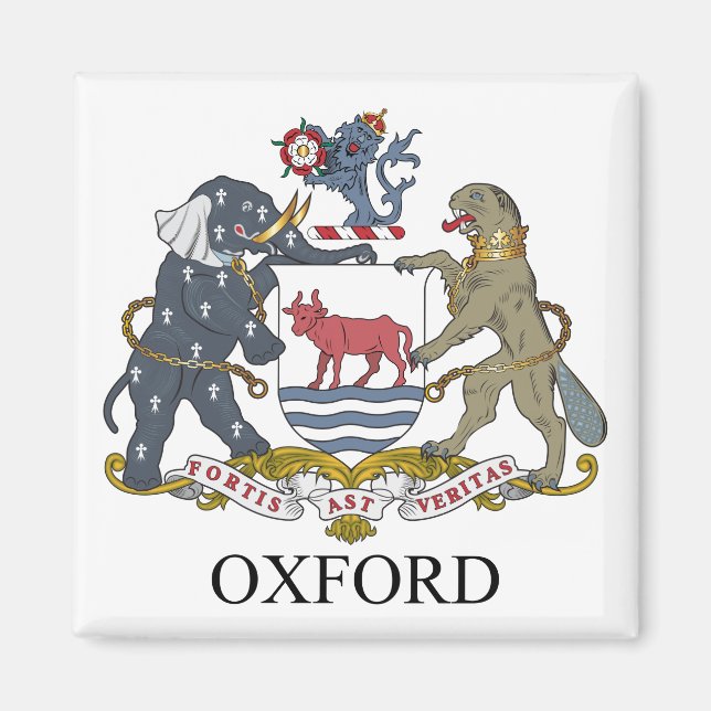 Oxford coat of arms magnet (Front)