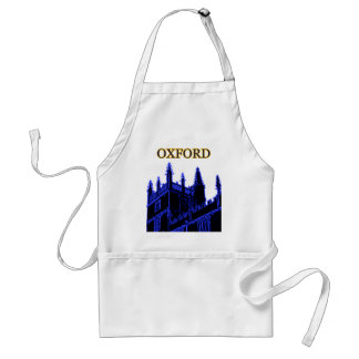 Oxford England 1986 Building Spirals Blue Standard Apron