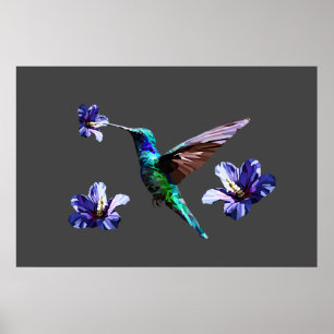 Oxford Grey Gorgeous Hummingbird/Hibiscus Poster