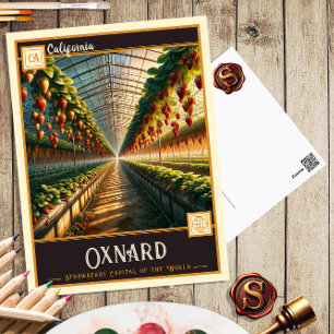 Oxnard, California   Vintage Postcard