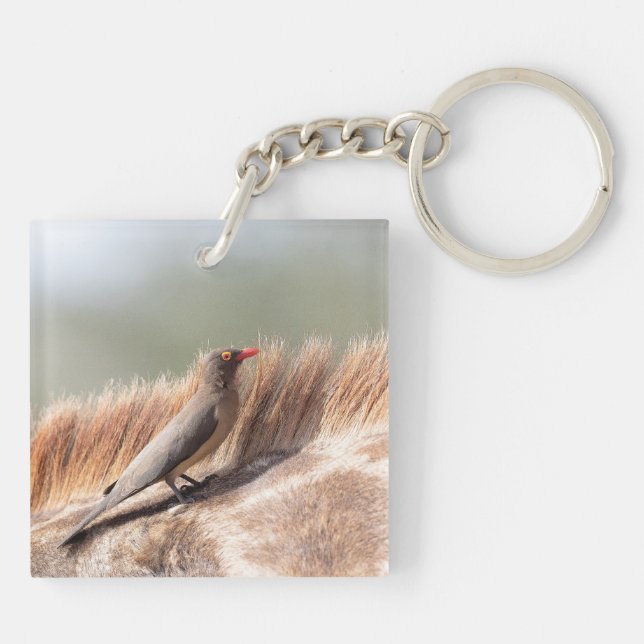 Oxpecker on a giraffe key ring (Back)