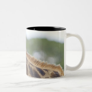Oxpeckers on Giraffe, Kruger National Park, Two-Tone Coffee Mug