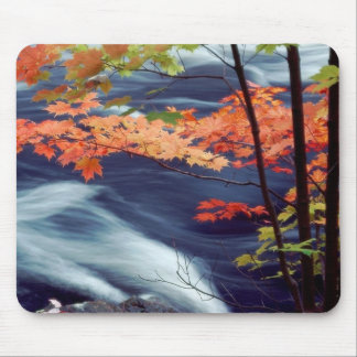 Oxtongue River, Ontario, Canada Mouse Mat