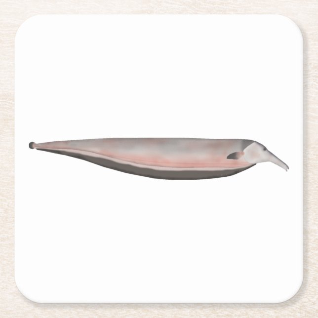 Oxyrhynchus Tube-snouted Ghost Knifefish Square Paper Coaster (Front)