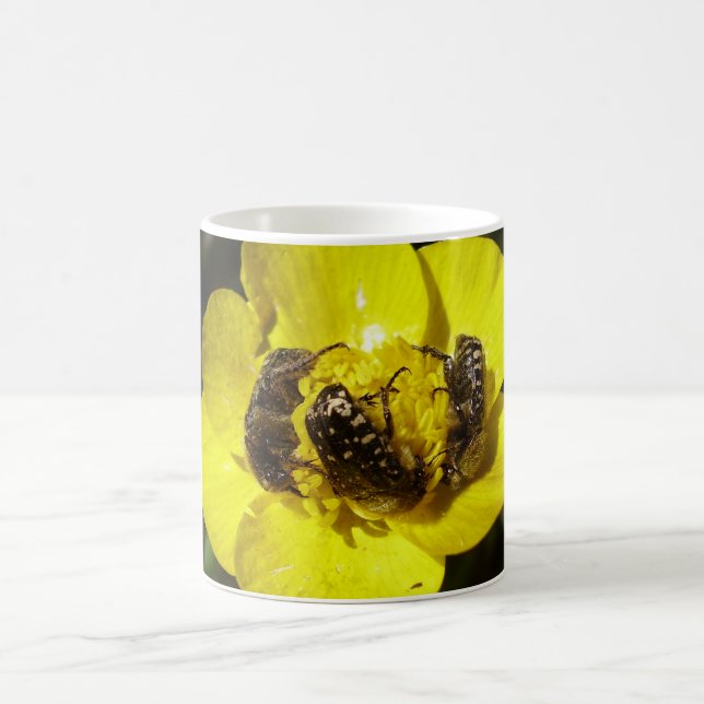 Oxythyrea Funesta Beetles Bug Mug (Center)