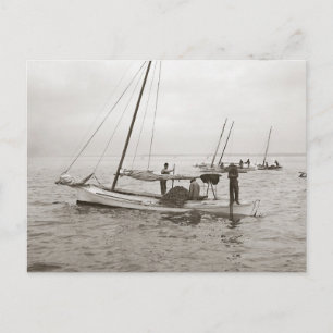 Oyster Boats, 1903 Postcard