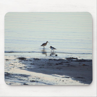 Oyster catcher and Curlew on a beach Mouse Mat