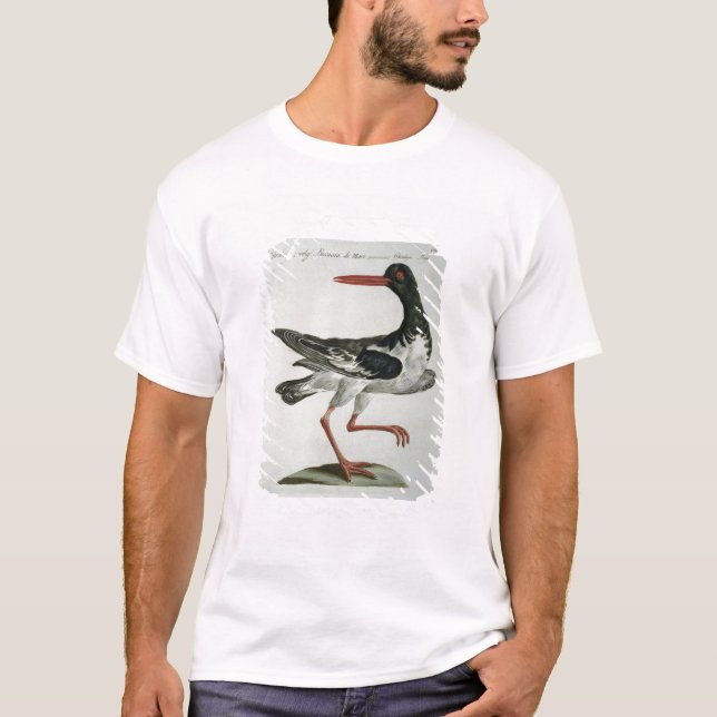 Oyster Catcher, c.1767-76 (hand coloured engraving T-Shirt (Front)