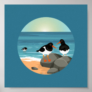 Oyster catchers illustration poster