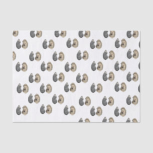 Oyster Shell Tissue Paper