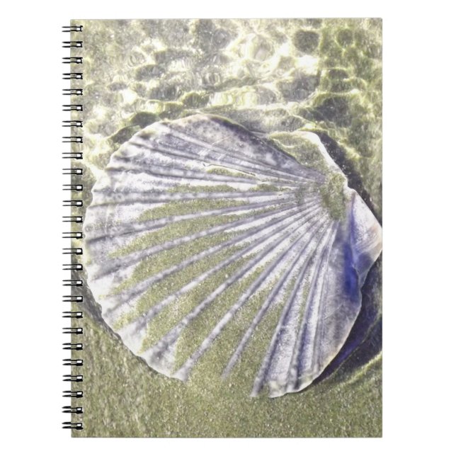 Oyster Shell Underwater Notebook (Front)
