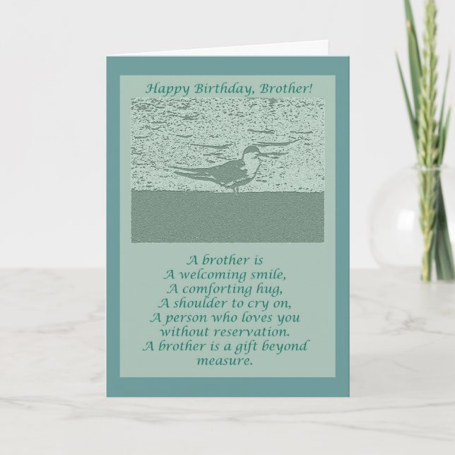 Oystercatcher Brother Birthday Card (Front)