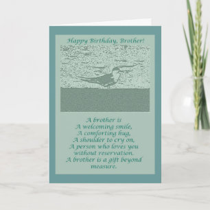 Oystercatcher Brother Birthday Card